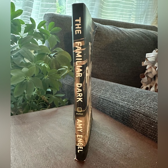 The Familiar Dark novel by Amy Engel author of The Roanoke Girls paperback book - Picture 2 of 4